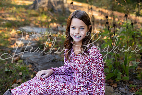 Fall Minis Case-19