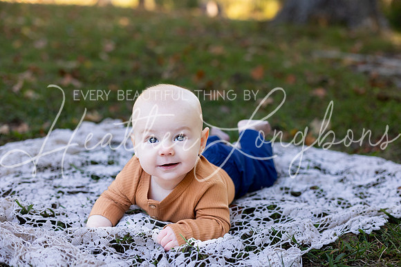 Fall Minis Clare Roosevelt-6