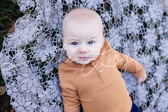 Fall Minis Clare Roosevelt-11
