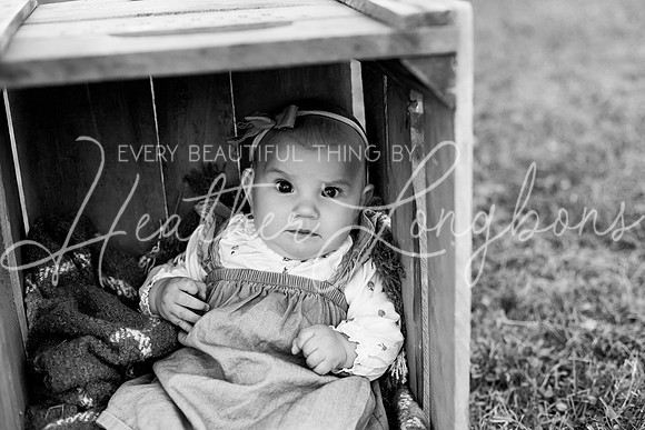 Van Matre family 2023-79BW