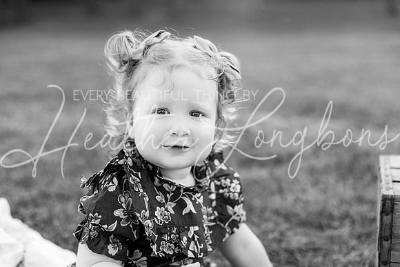 Thomson Extended family-13BW