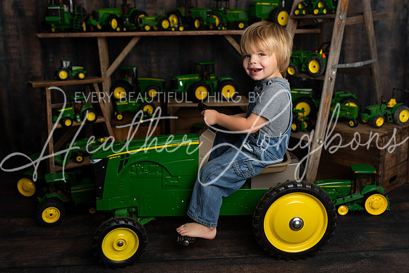 Tractor Mini Porter and Lettie-18