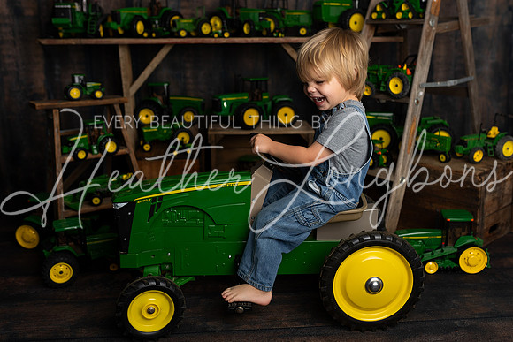 Tractor Mini Porter and Lettie-19