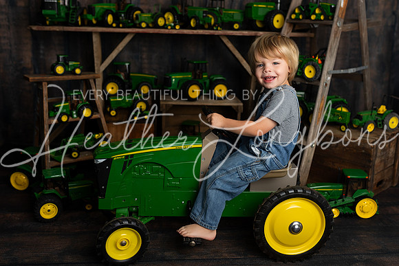 Tractor Mini Porter and Lettie-20