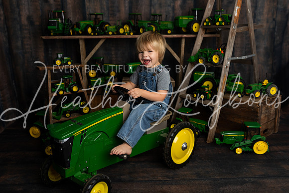 Tractor Mini Porter and Lettie-21