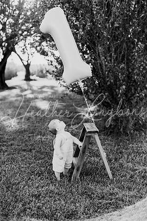 Brooks One Year-1BW