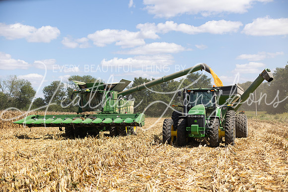 Harvest 2023-1