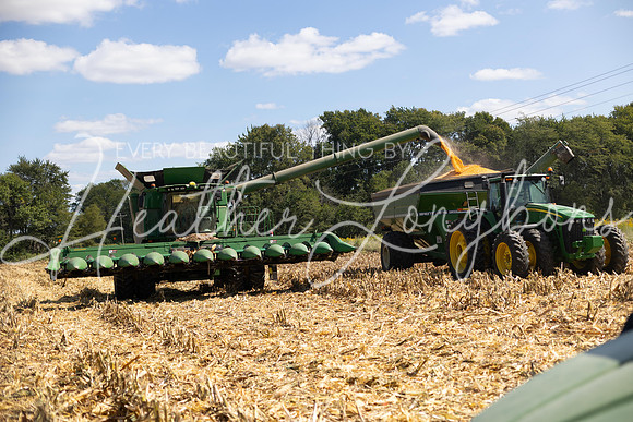 Harvest 2023-3