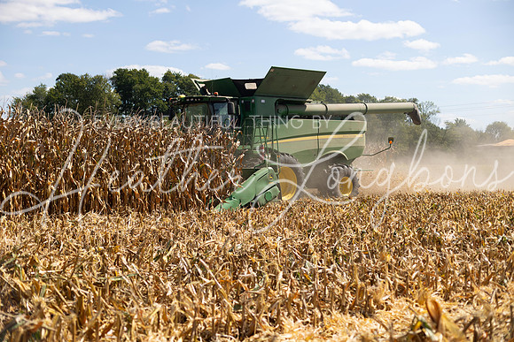 Harvest 2023-5