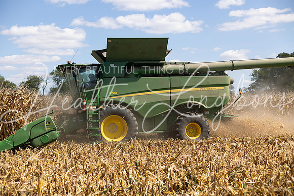 Harvest 2023-7