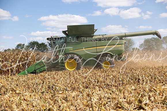 Harvest 2023-9
