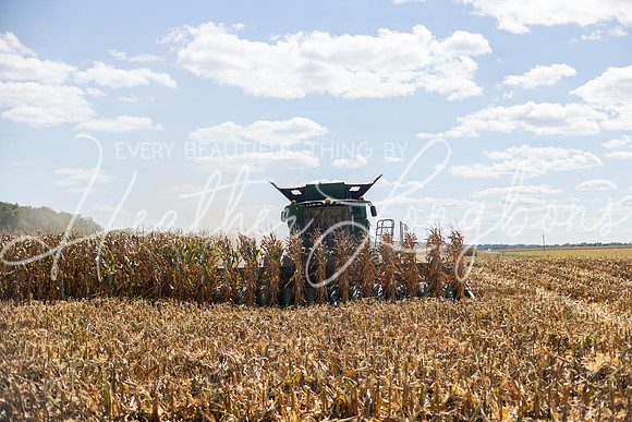 Harvest 2023-12