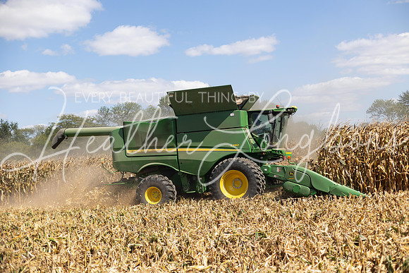 Harvest 2023-19
