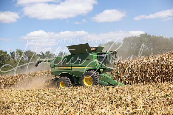 Harvest 2023-17
