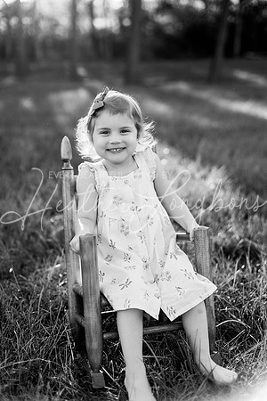 Brooks One Year-55BW