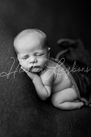 Colsen Newborn-6BW
