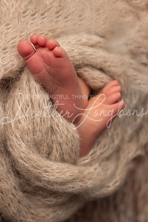 Brooks Newborn-30