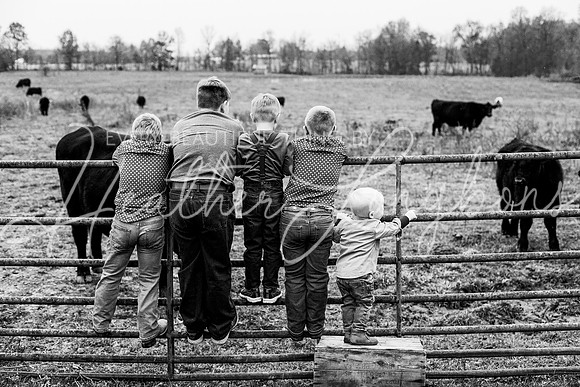 Bell Extended family-12BW