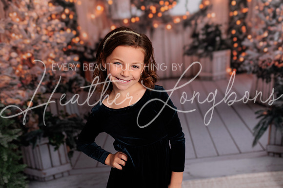 2024 Christmas Fewkes-12