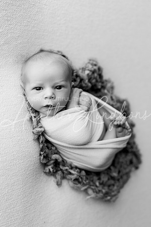 Colsen Newborn-2BW