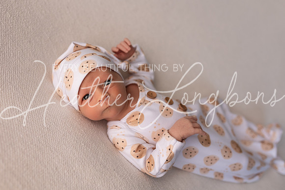 Owen Staples Newborn-5