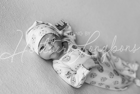 Owen Staples Newborn-5BW