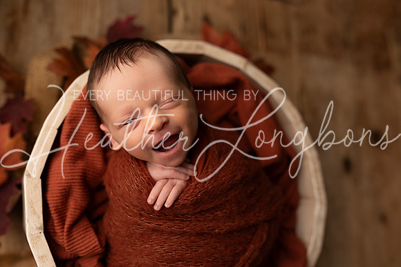 Owen Staples Newborn-7