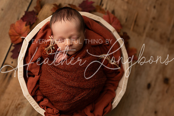 Owen Staples Newborn-8