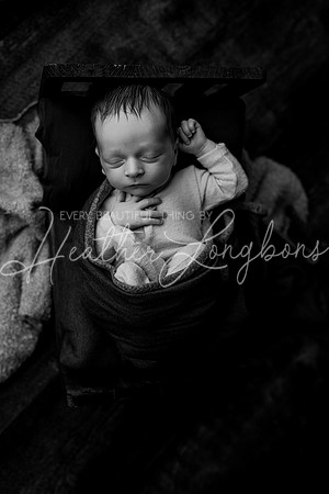 Owen Staples Newborn-10BW