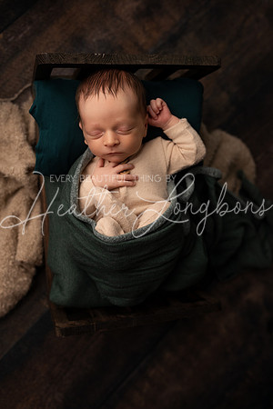 Owen Staples Newborn-10