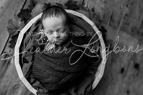 Owen Staples Newborn-8BW