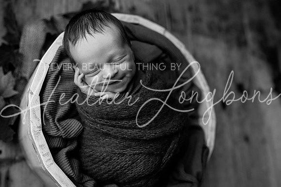 Owen Staples Newborn-9BW