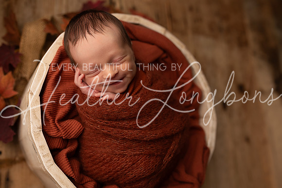 Owen Staples Newborn-9