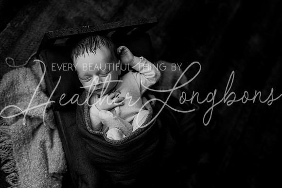 Owen Staples Newborn-20BW