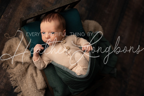 Owen Staples Newborn-21