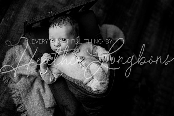 Owen Staples Newborn-21BW