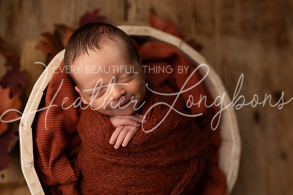 Owen Staples Newborn-22