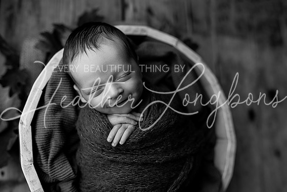 Owen Staples Newborn-22BW