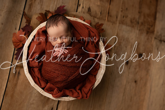 Owen Staples Newborn-23