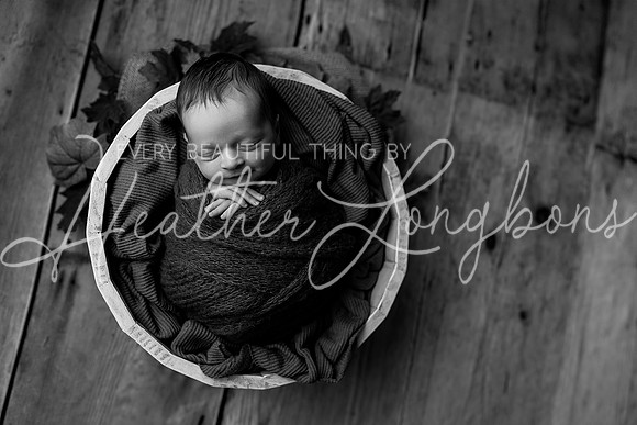 Owen Staples Newborn-23BW