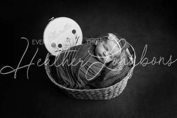 Ellaretta newborn-28BW