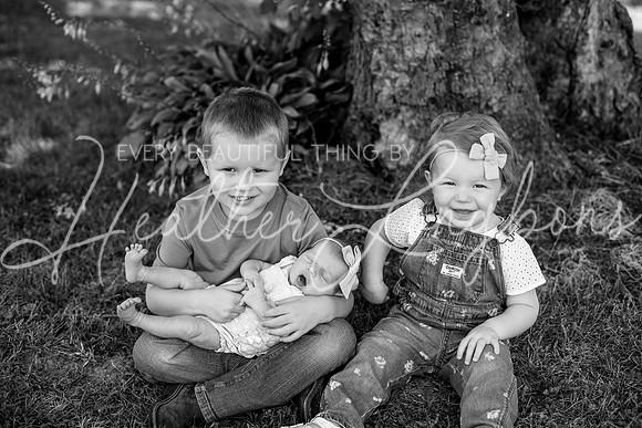 Layla newborn-8BW