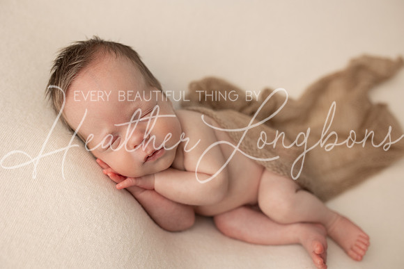 Taylor twins newborn session-13
