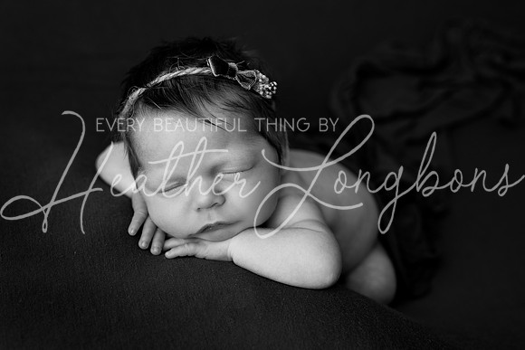 Taylor twins newborn session-18BW