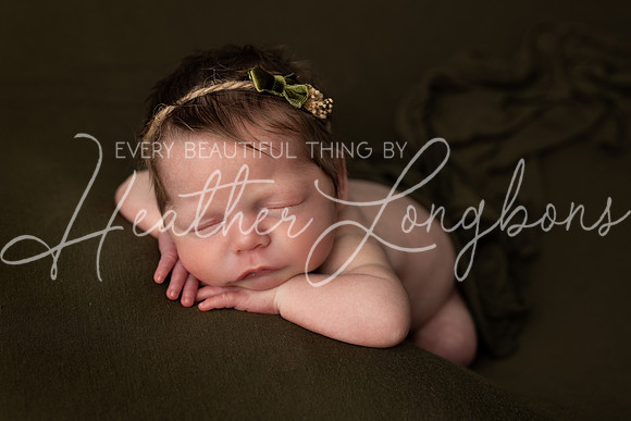 Taylor twins newborn session-18