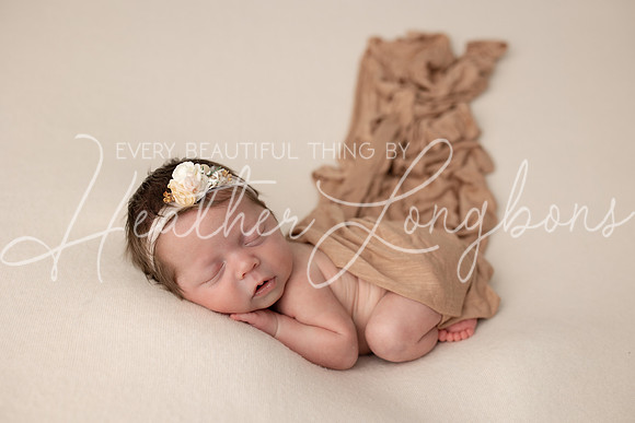 Taylor twins newborn session-17