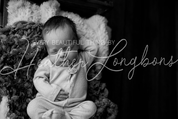Taylor twins newborn session-22BW