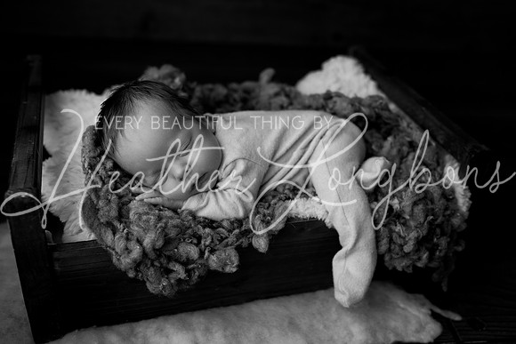 Taylor twins newborn session-23BW