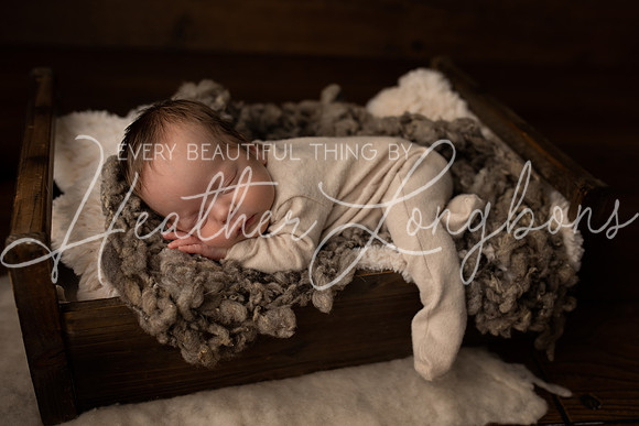 Taylor twins newborn session-23