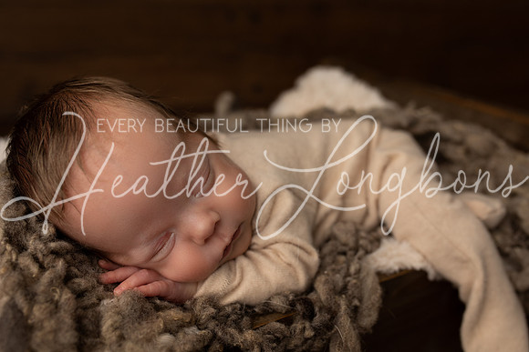 Taylor twins newborn session-24